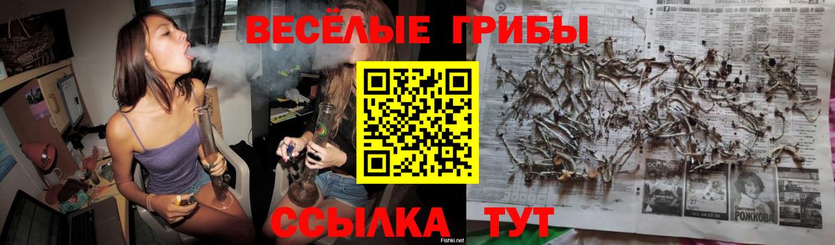 Псилоцибиновые грибы MAGIC MUSHROOMS Кохма